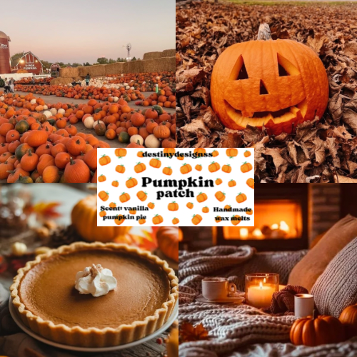 Hand-Poured Pumpkin Wax Melt cup